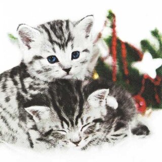 Ubrousek - Vánoční kočky