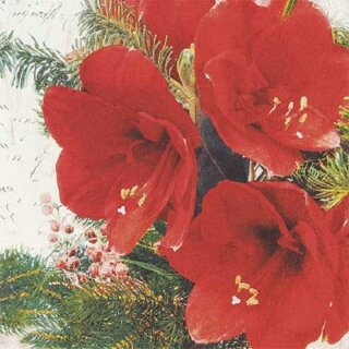 Napkin - Red amaryllis