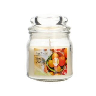 Citrus Salsa scented candle 200g