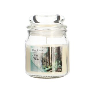 Silver Moss scented candle 200g