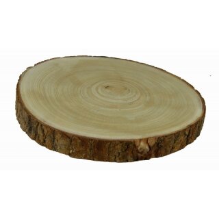 Wood slice - Paulownia