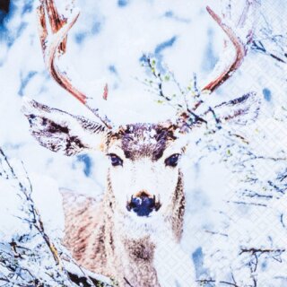 Tovagliolo - Cervo nella neve
